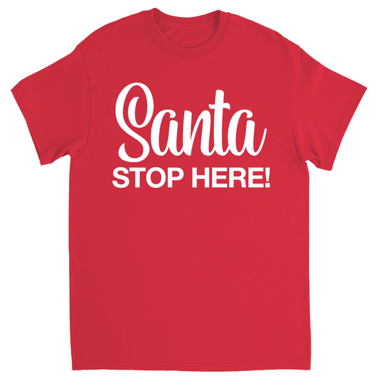 Santa T-Shirt